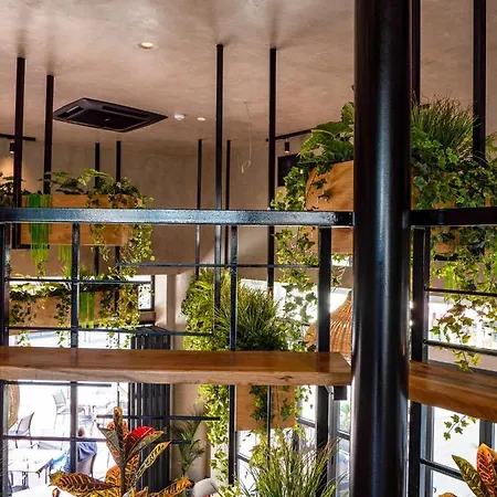 Sigma59 Dine & Hotel